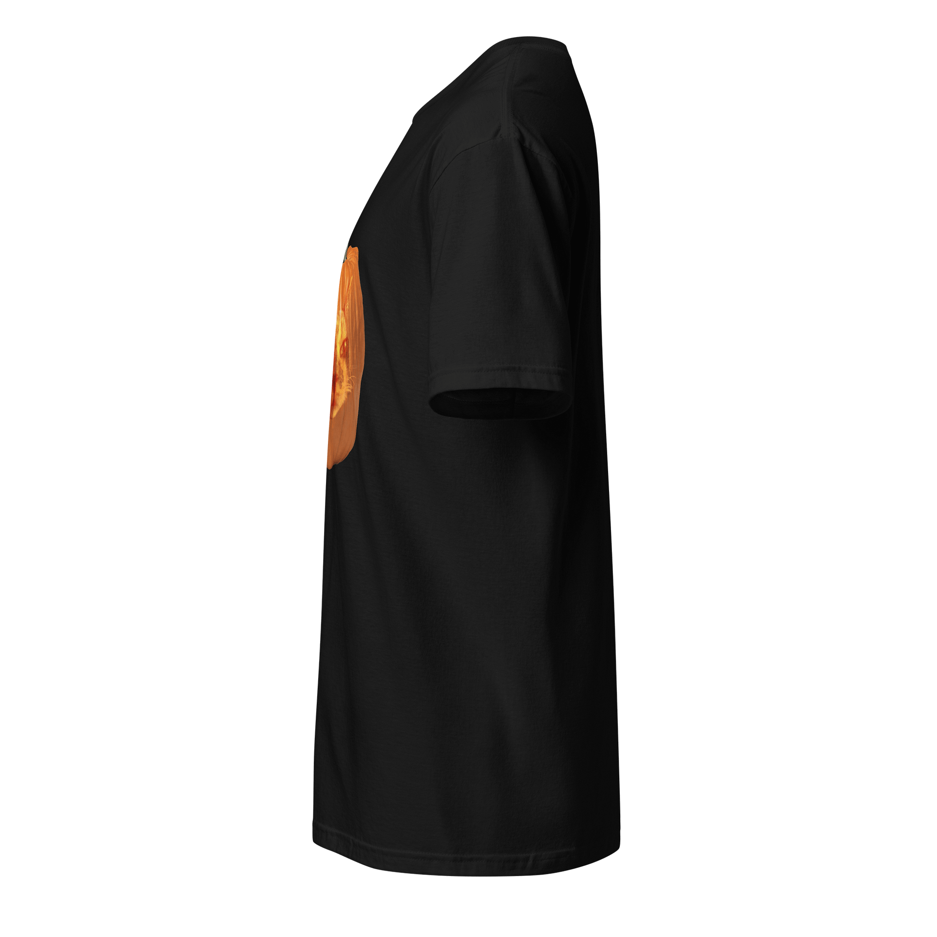 Kitty Pumpkin Tee product image (3)