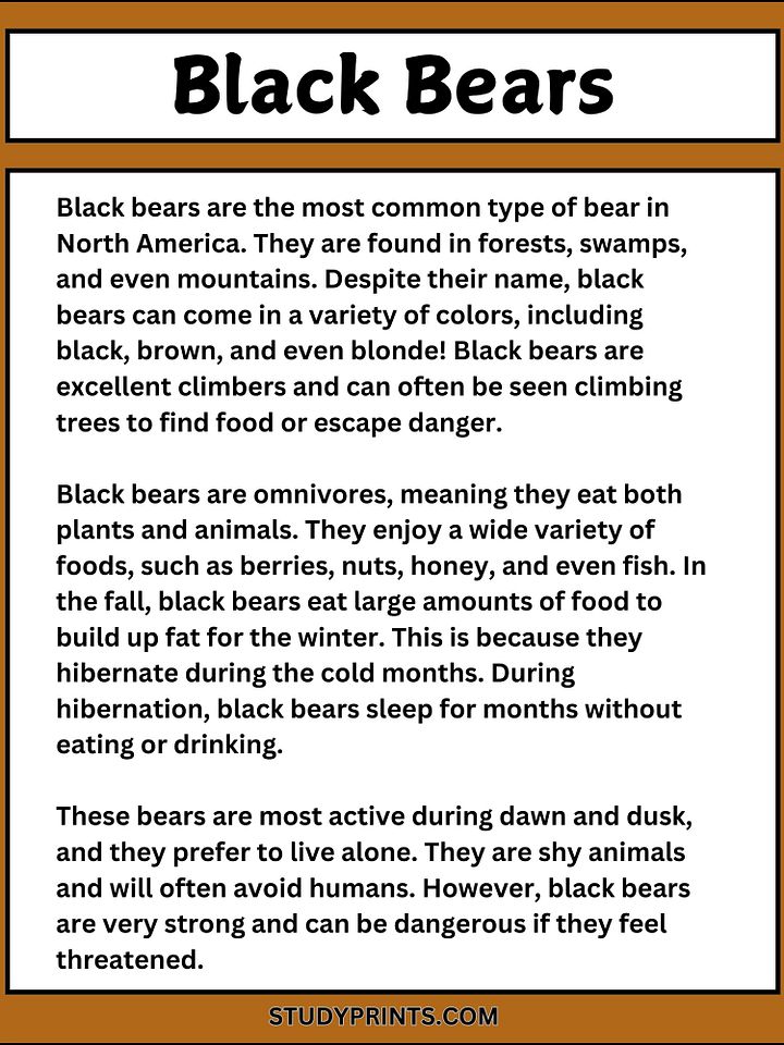 Black Bear Reading Comprehension Passage with 6 Questions product image (2)