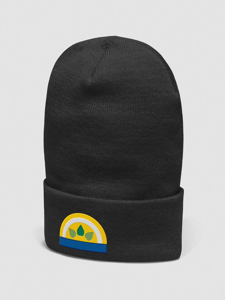 Sun winter cap product image (2)