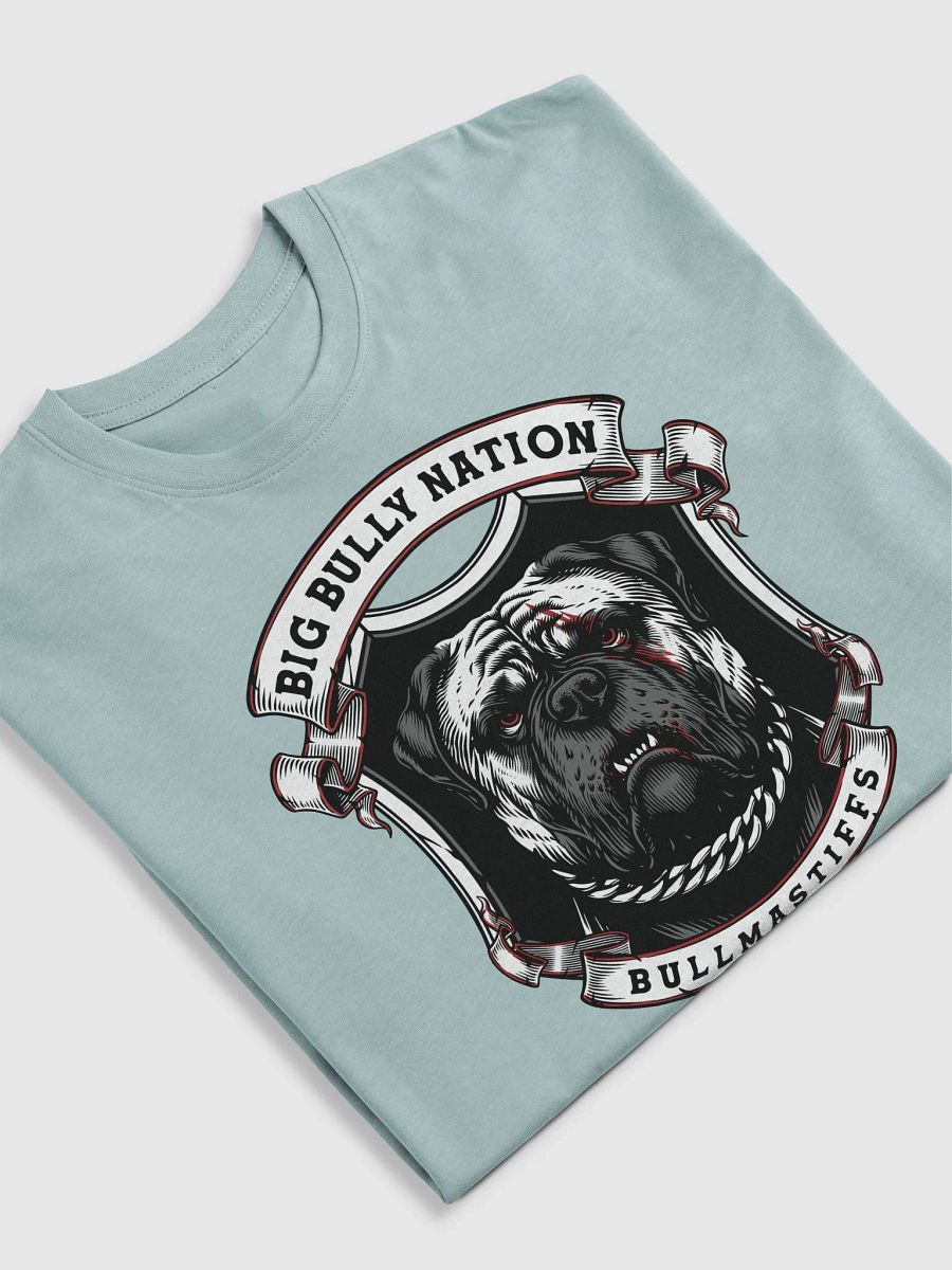BBN Alter Ego Men's Tee product image (33)