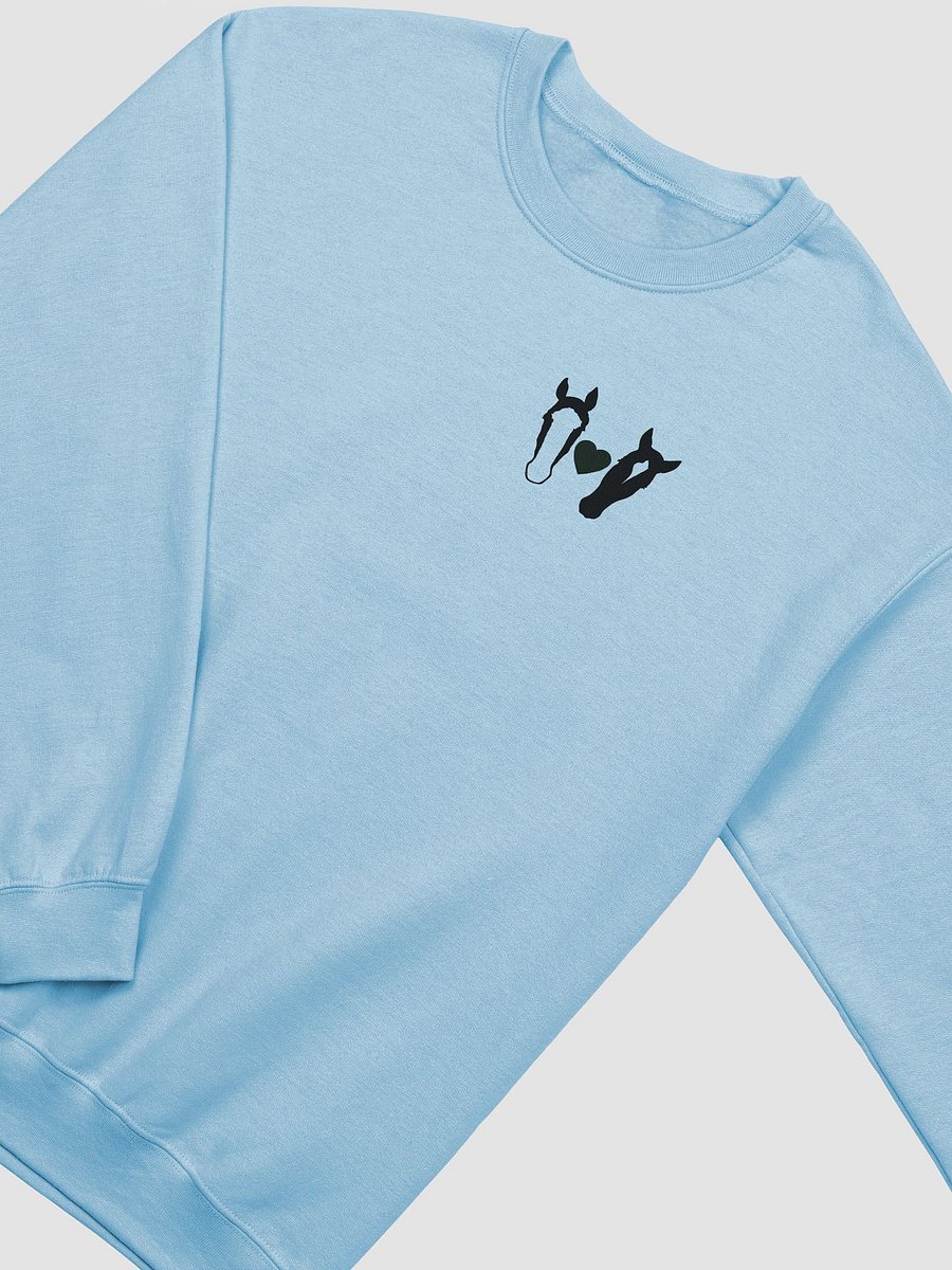 Follow Us Crewneck Sweatshirt, light colors product image (3)