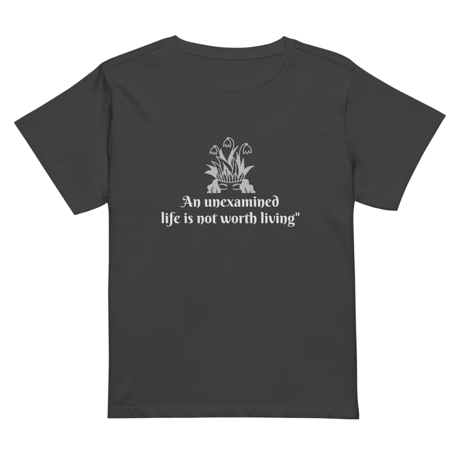 Women's high wasted t-shirt - Conscious living fashion product image (30)