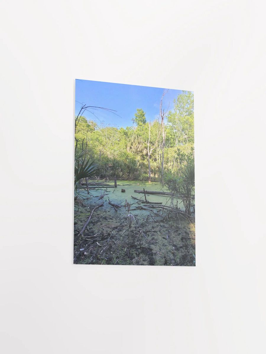 FL Swamp product image (29)