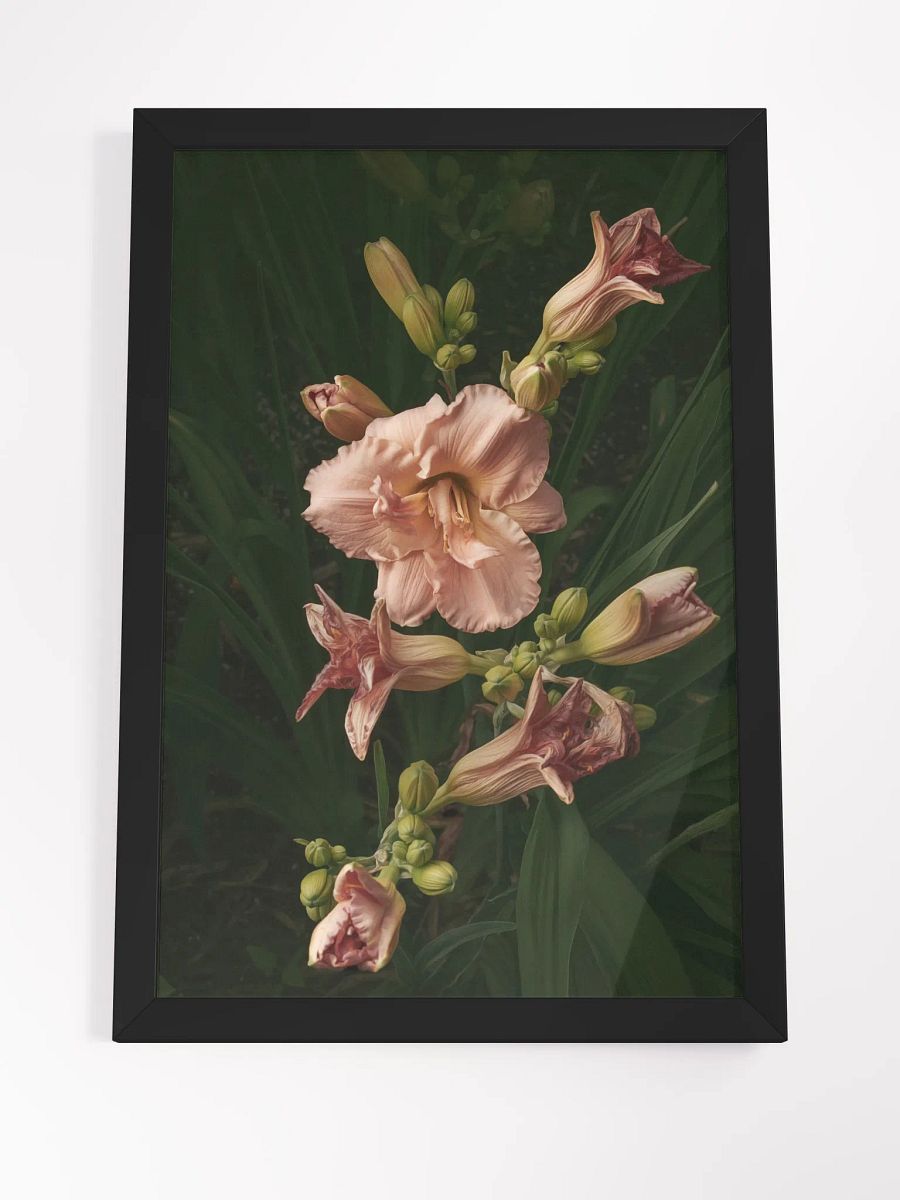 Cascade of Blush product image (3)