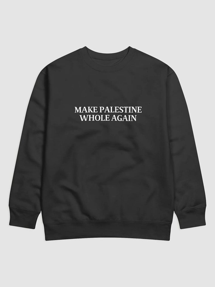 Make Palestine Whole Again Sweatshirt product image (4)