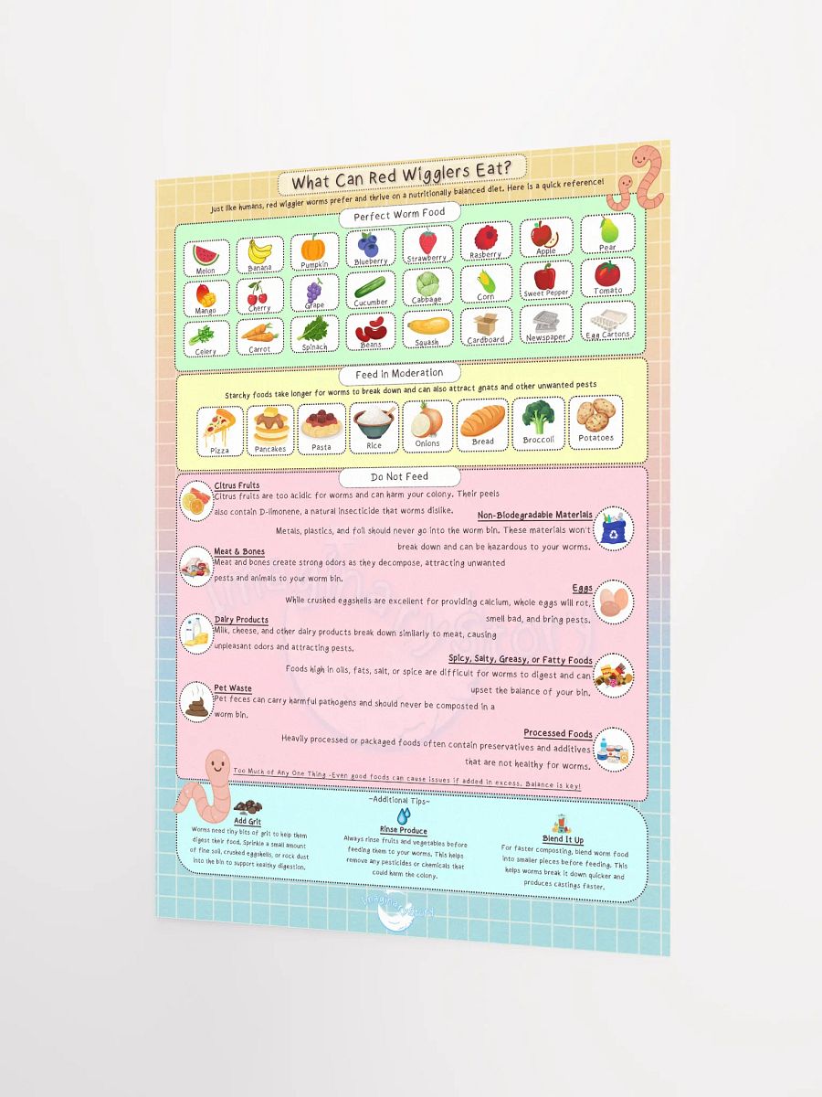 Red Wrigglers Guide Food Chart Poster product image (2)