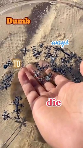 Don’t play with this