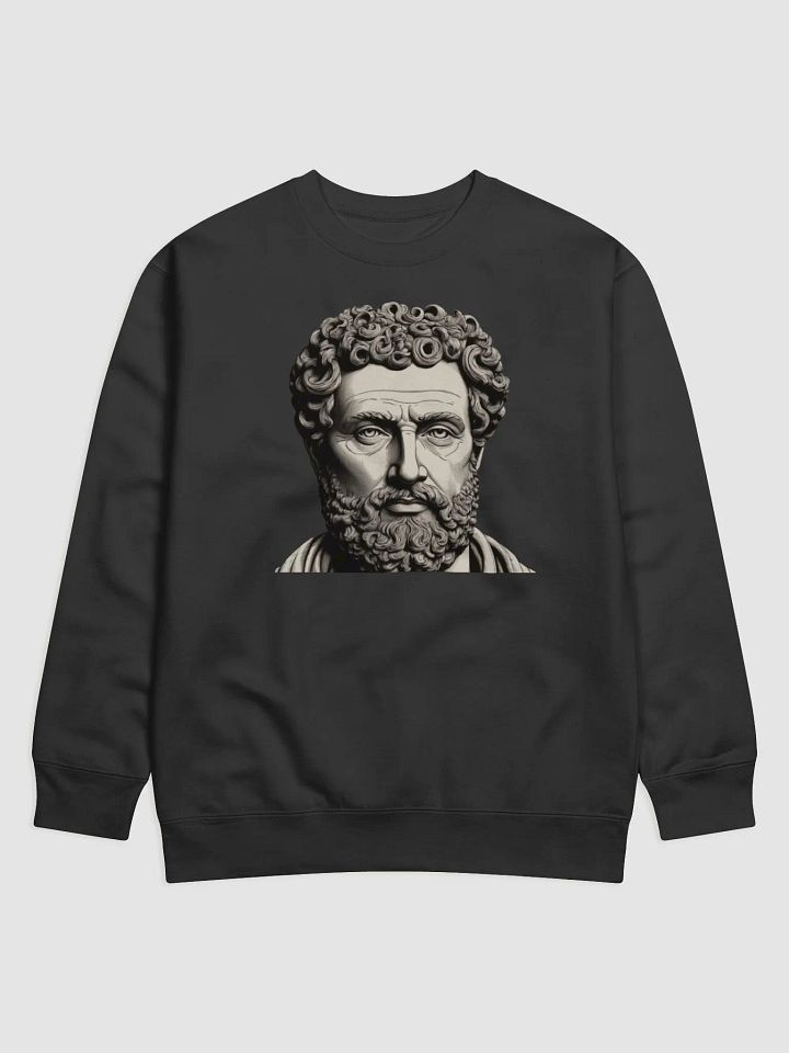Sweatshirt stoic product image (1)
