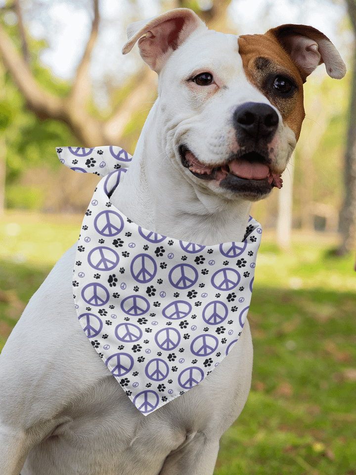 MasterPeace Bandana product image (2)