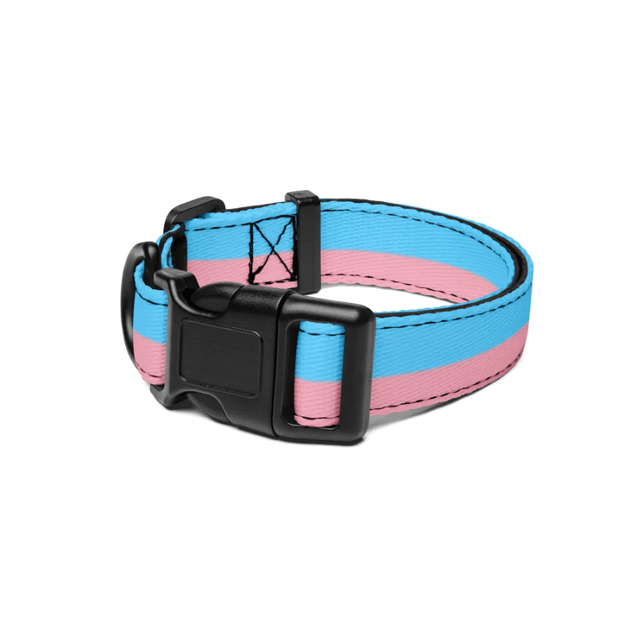 Trans Pride Pup Collar product image (1)