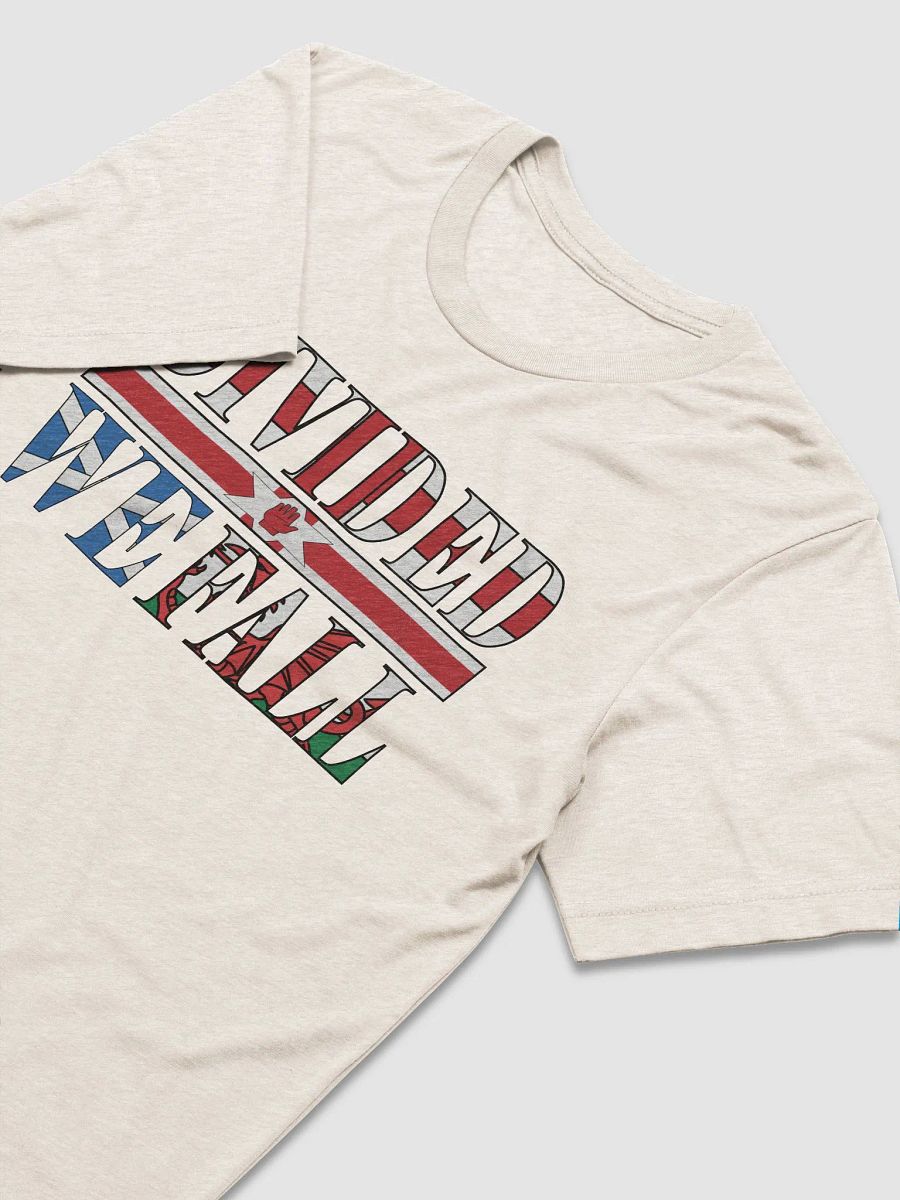 Divided We Fall - UK - Bella+Canvas Triblend Short Sleeve T-Shirt product image (1)