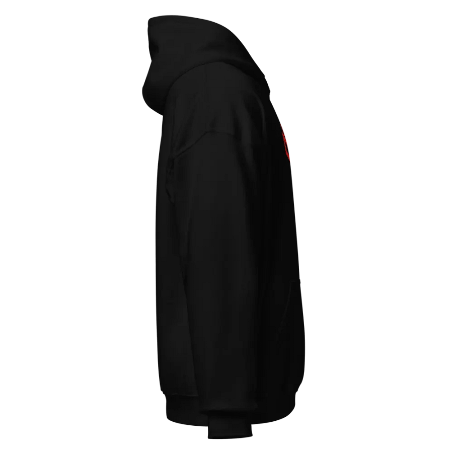 CYBR Hoodie Embroidered product image (4)
