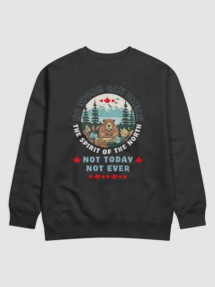 Canadian Wilderness Statement Sweatshirt product image (2)
