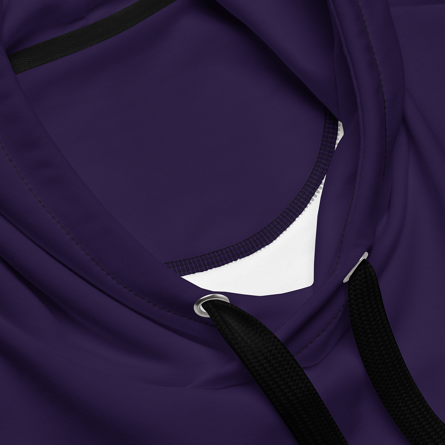 Jr Whips Hoodie product image (4)