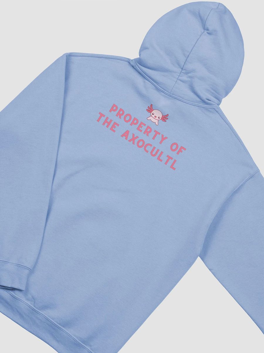 Discord Server AxoCultl Hoodie product image (17)
