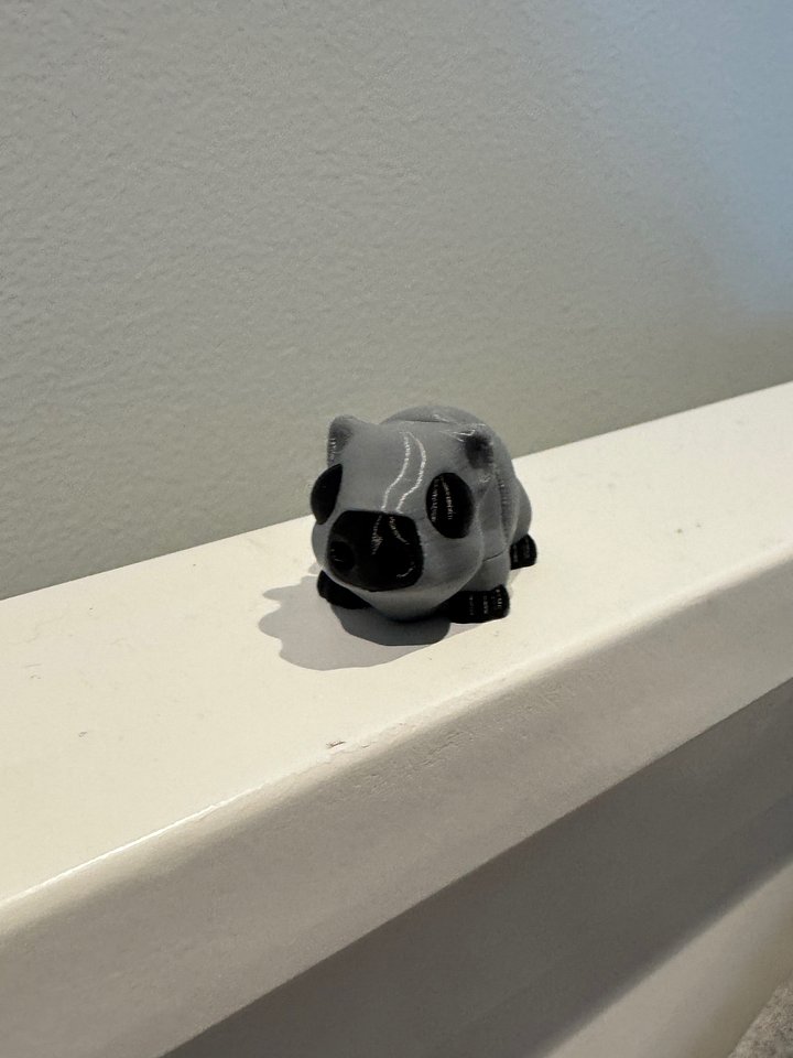 Wiggly Wombat product image (2)