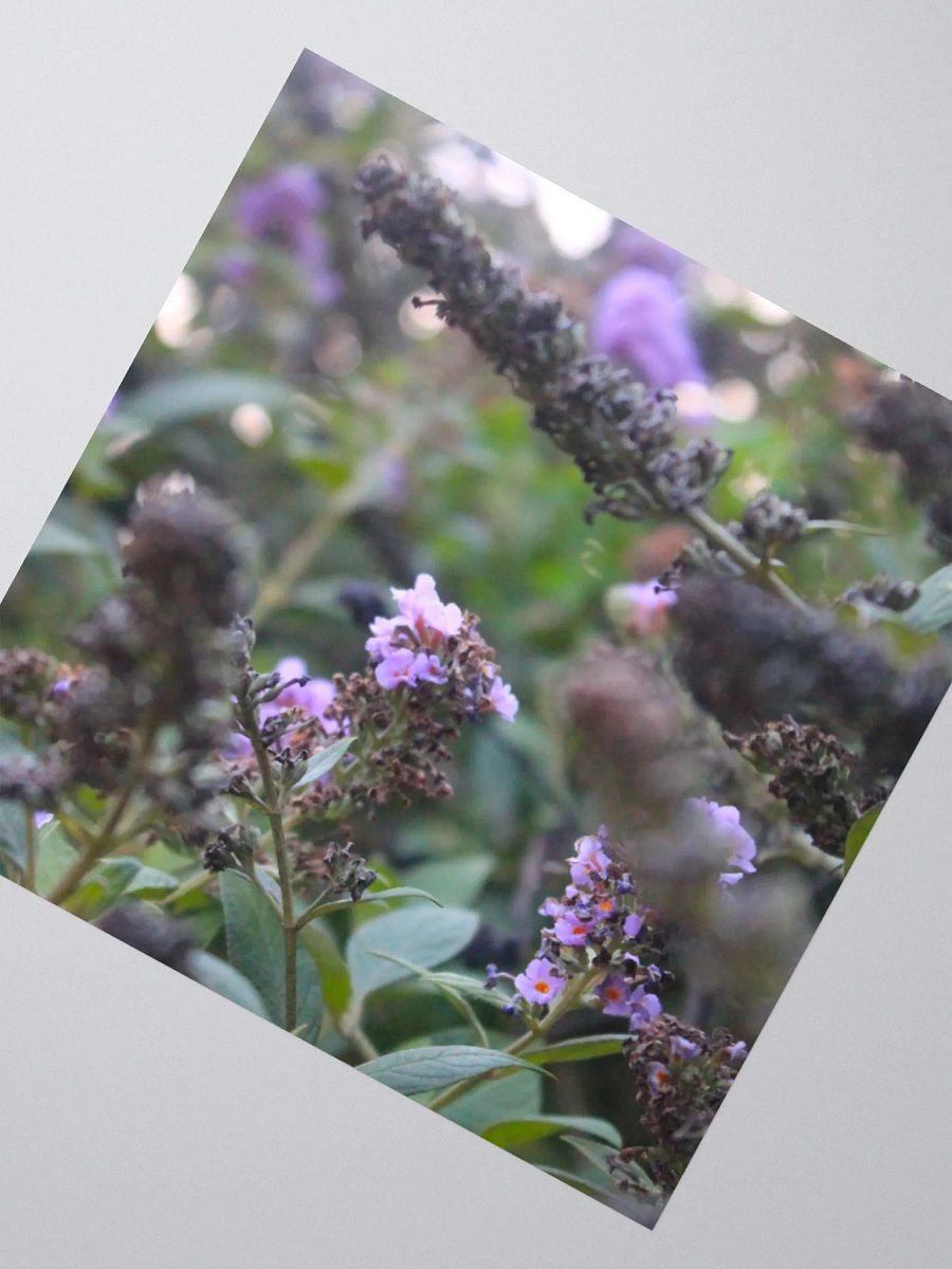 A Study in Flowers 6 - sticker version product image (4)