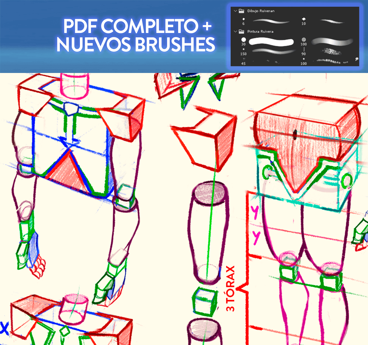 DIBUJA ANATOMÍA EN ACCIÓN (Full PDF)+ Pinceles 2025 + Rutina de Prácticas product image (6)