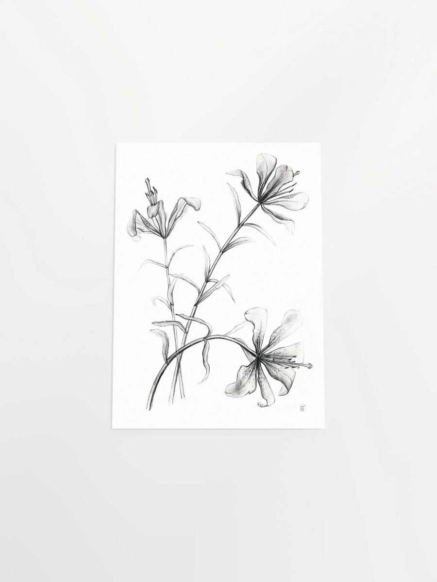 Lily Botanical Drawing Poster - Wild Elegant Flowers product image (4)