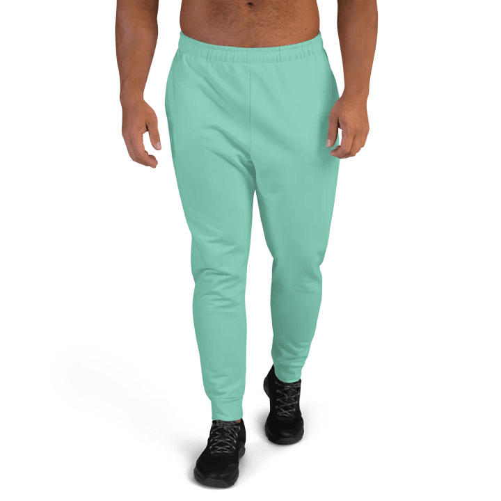 Plain Light Pastel Green Light Summer Recycled Polyester Premium Men's Joggers by Treasure Pie product image (1)