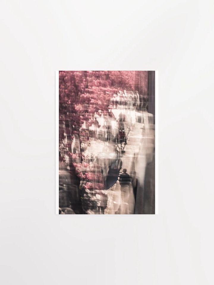 A Stroll under the Cherry trees - Print product image (2)