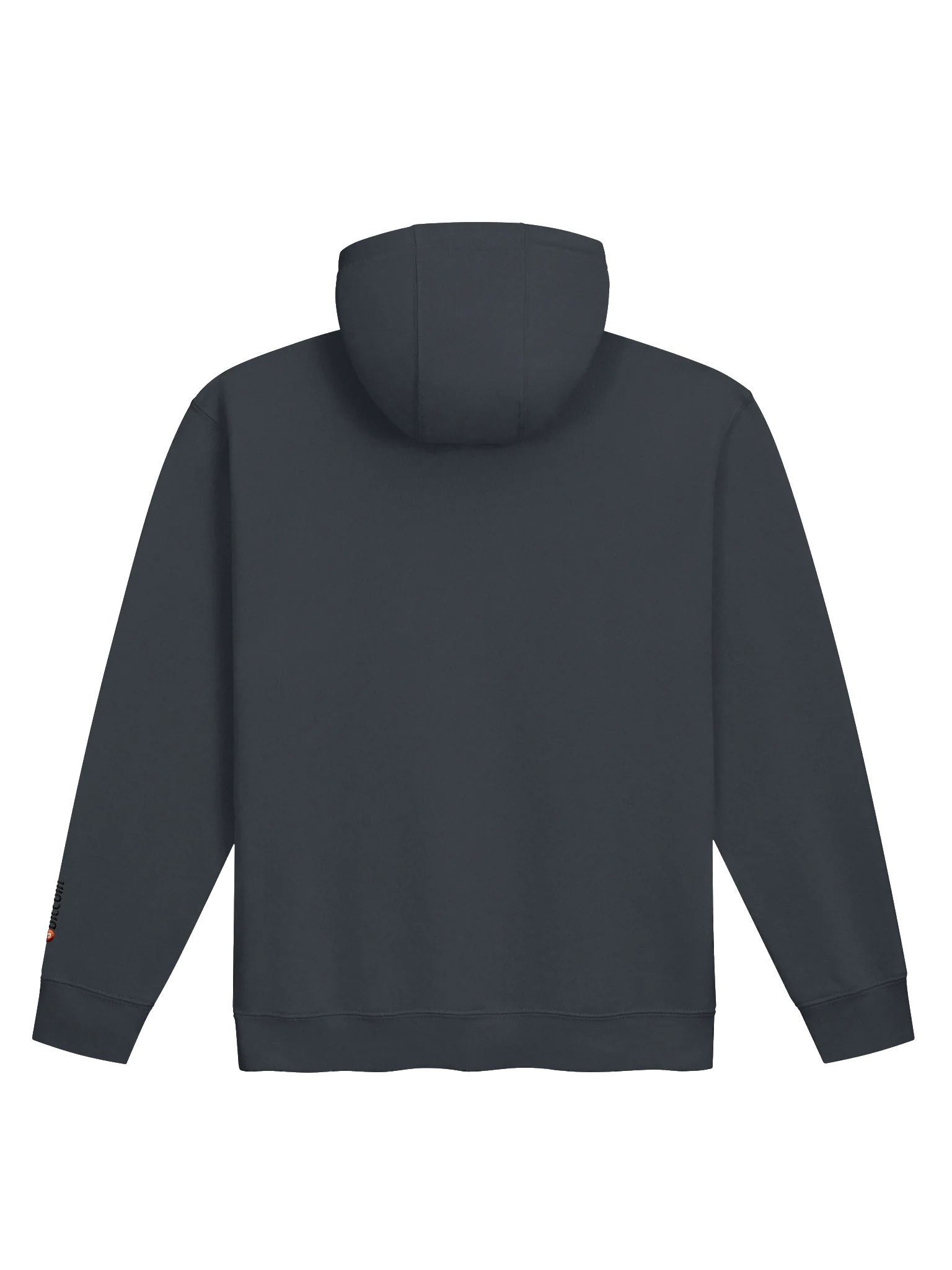 Dump the Dollar EMBROIDERED Hoodie with Arm Logo product image (9)