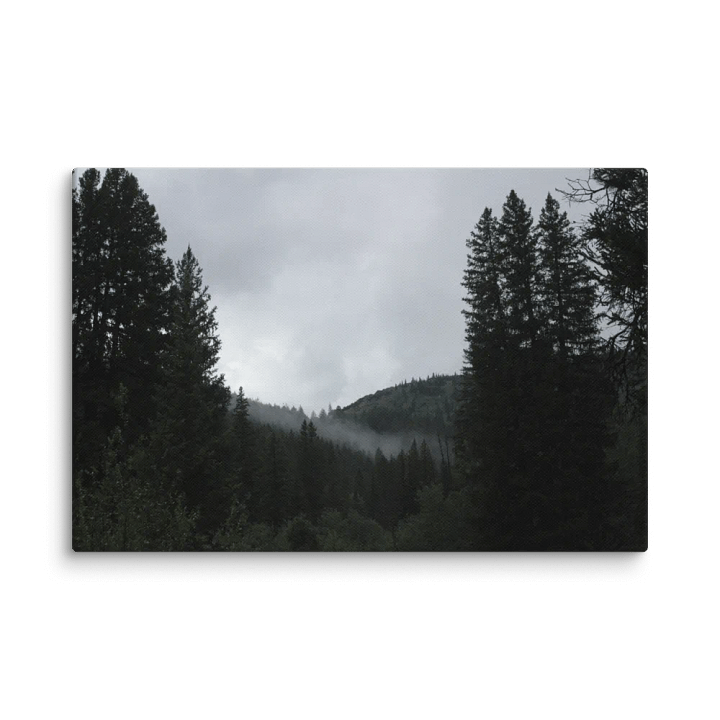 Though the Tree Line - Canvas product image (1)