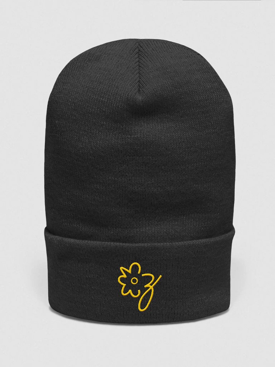 Pop product image (3)