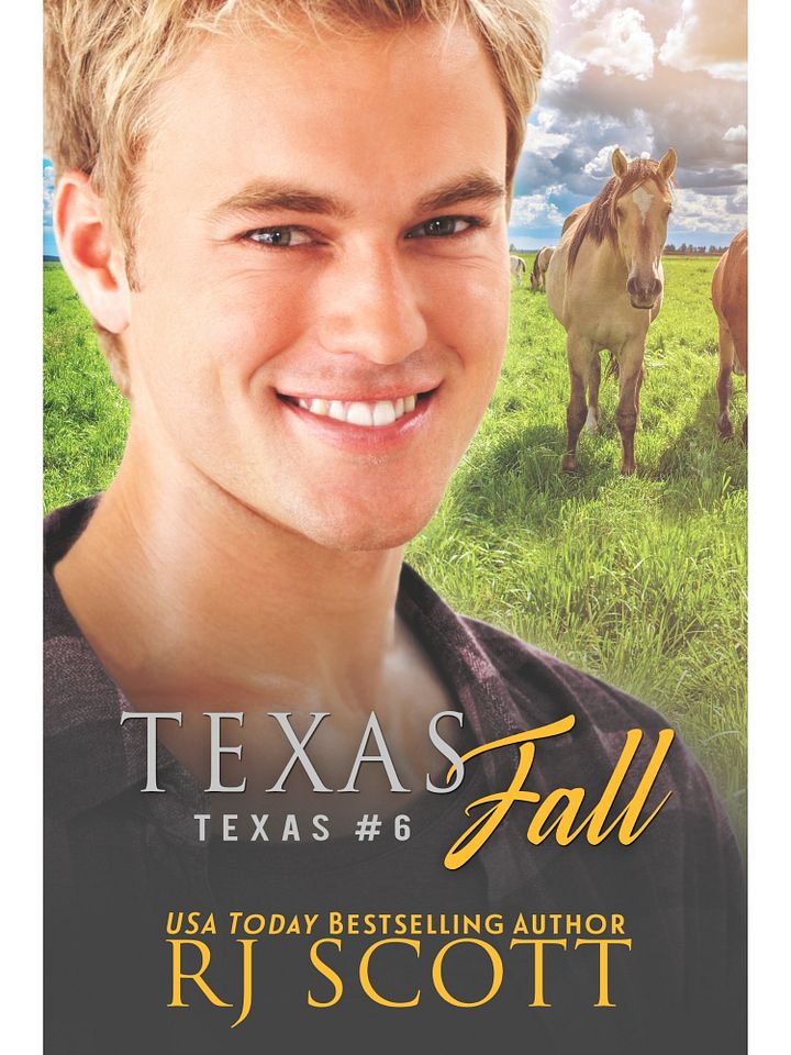 Texas Fall (Texas 6) - Audio product image (2)