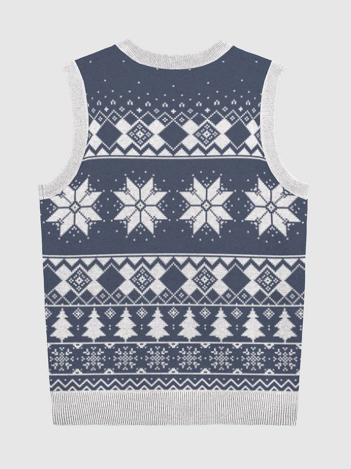 BigLuv (Knitted V-Neck Vest) product image (2)