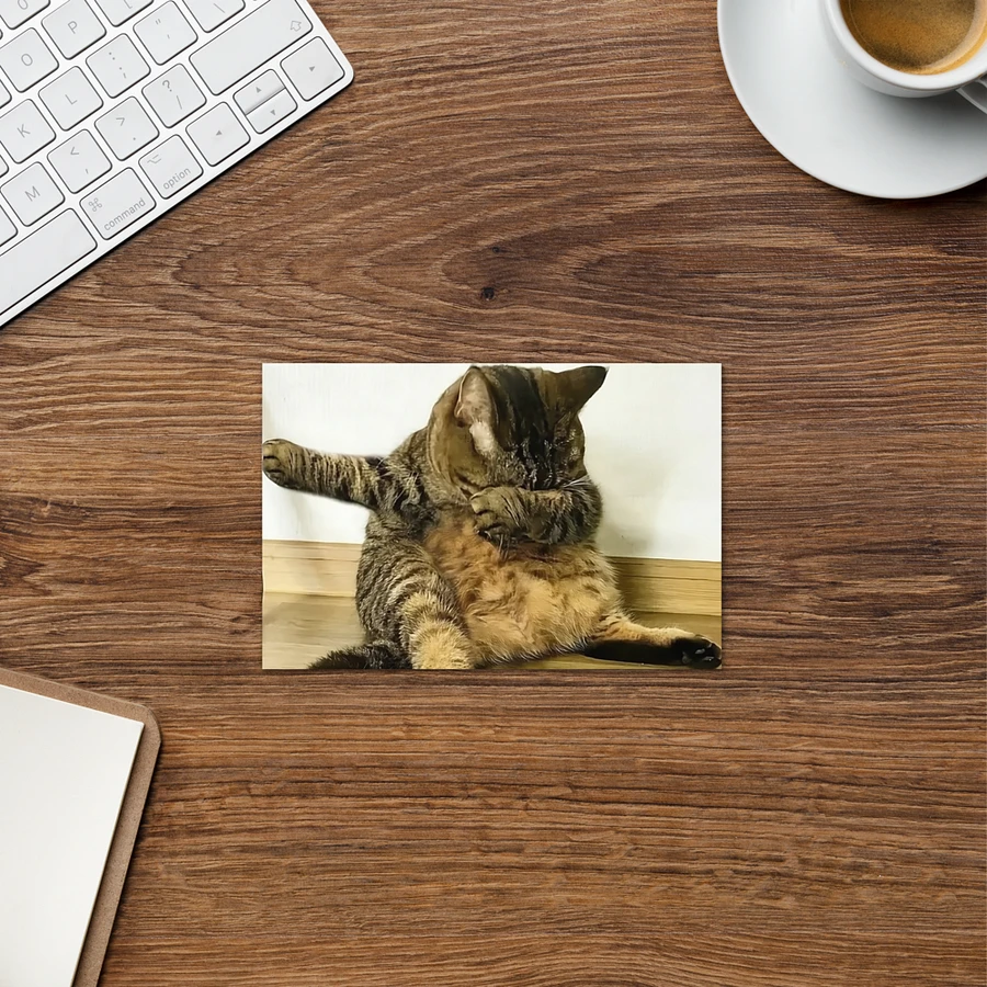 Greeting Card: Meme Cats product image (24)