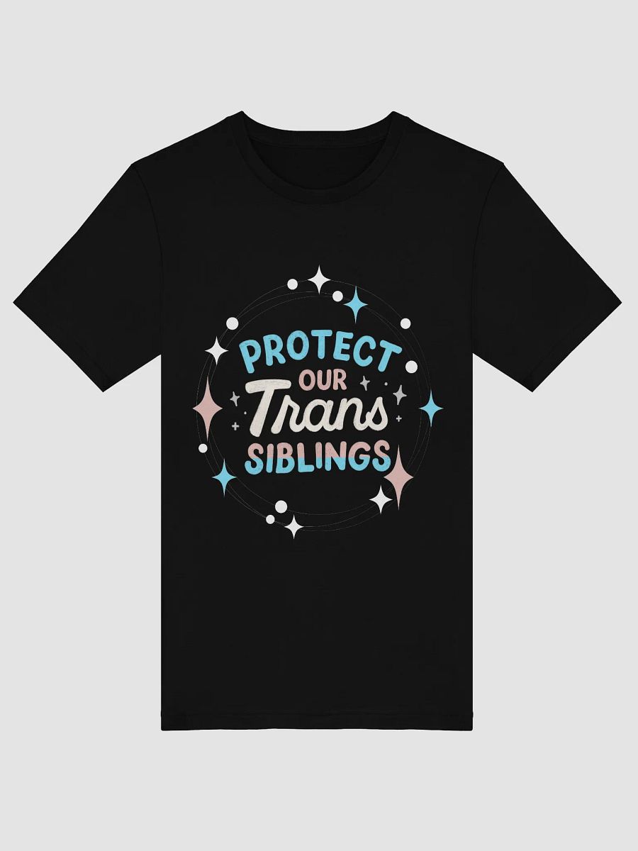 Support Our Trans Siblings T-Shirt product image (44)
