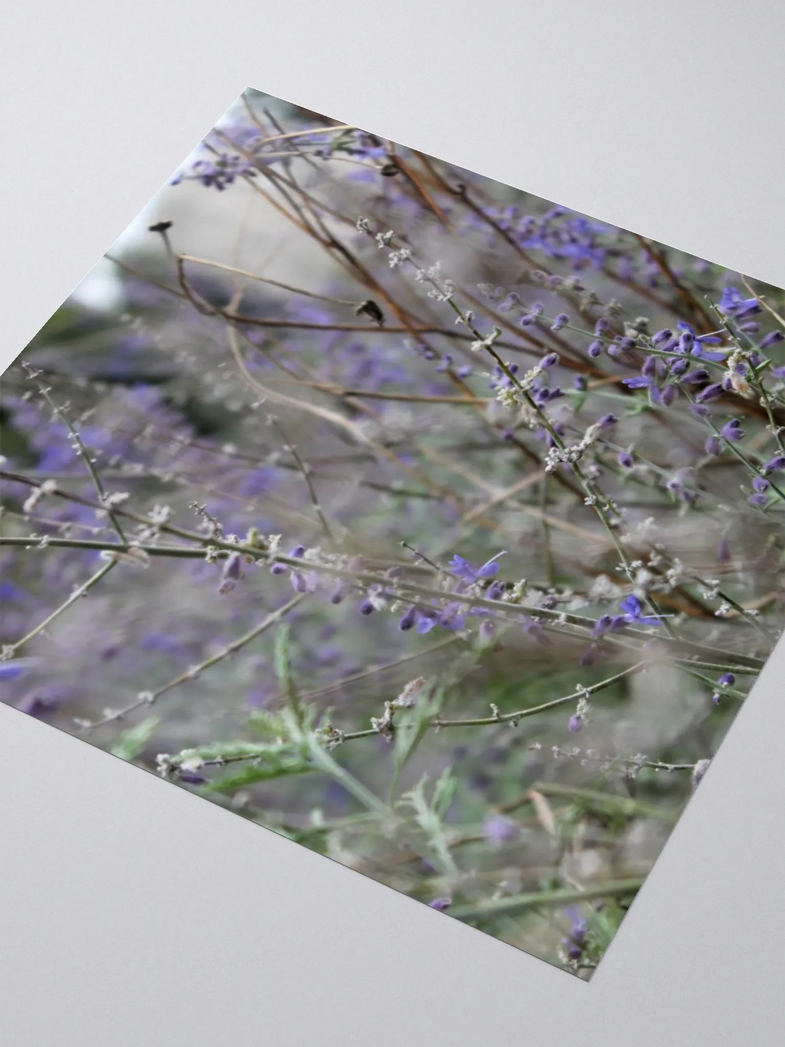 A Study in Flowers 13 - sticker version product image (9)