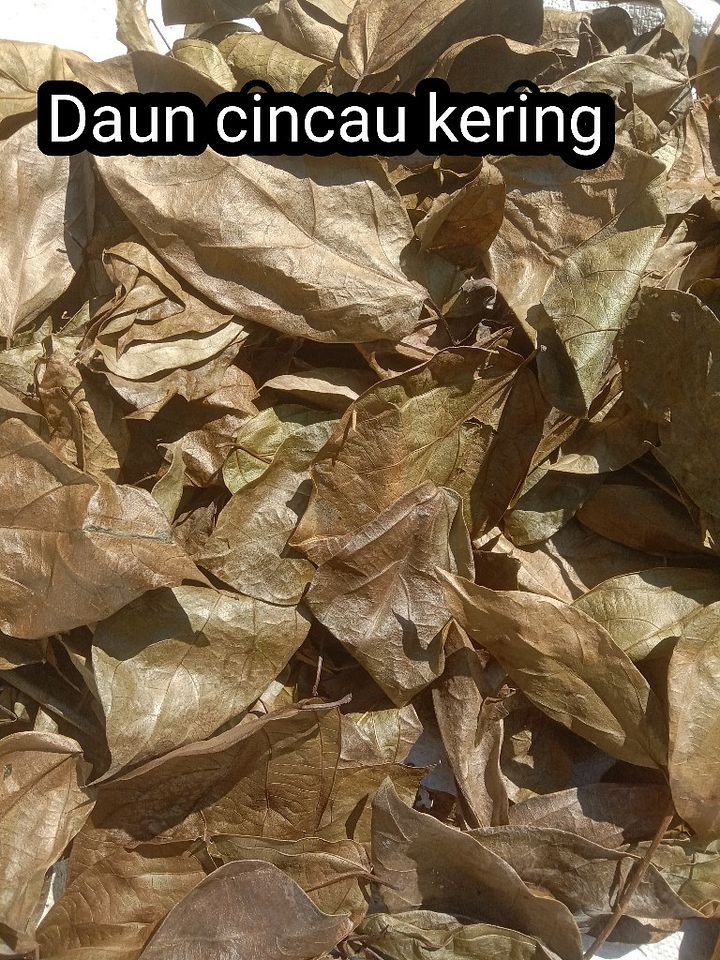 Daun cincau kering product image (1)