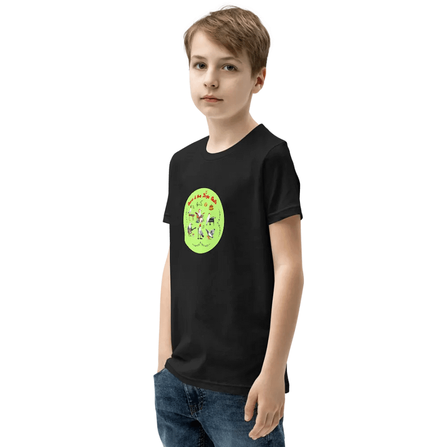 Gavin & the Jingle Gulls Youth T-shirt product image (3)