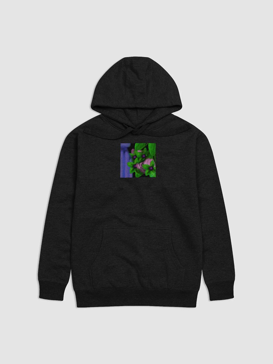 Belladonna and Glass Bottle Comfort Hoodie product image (2)