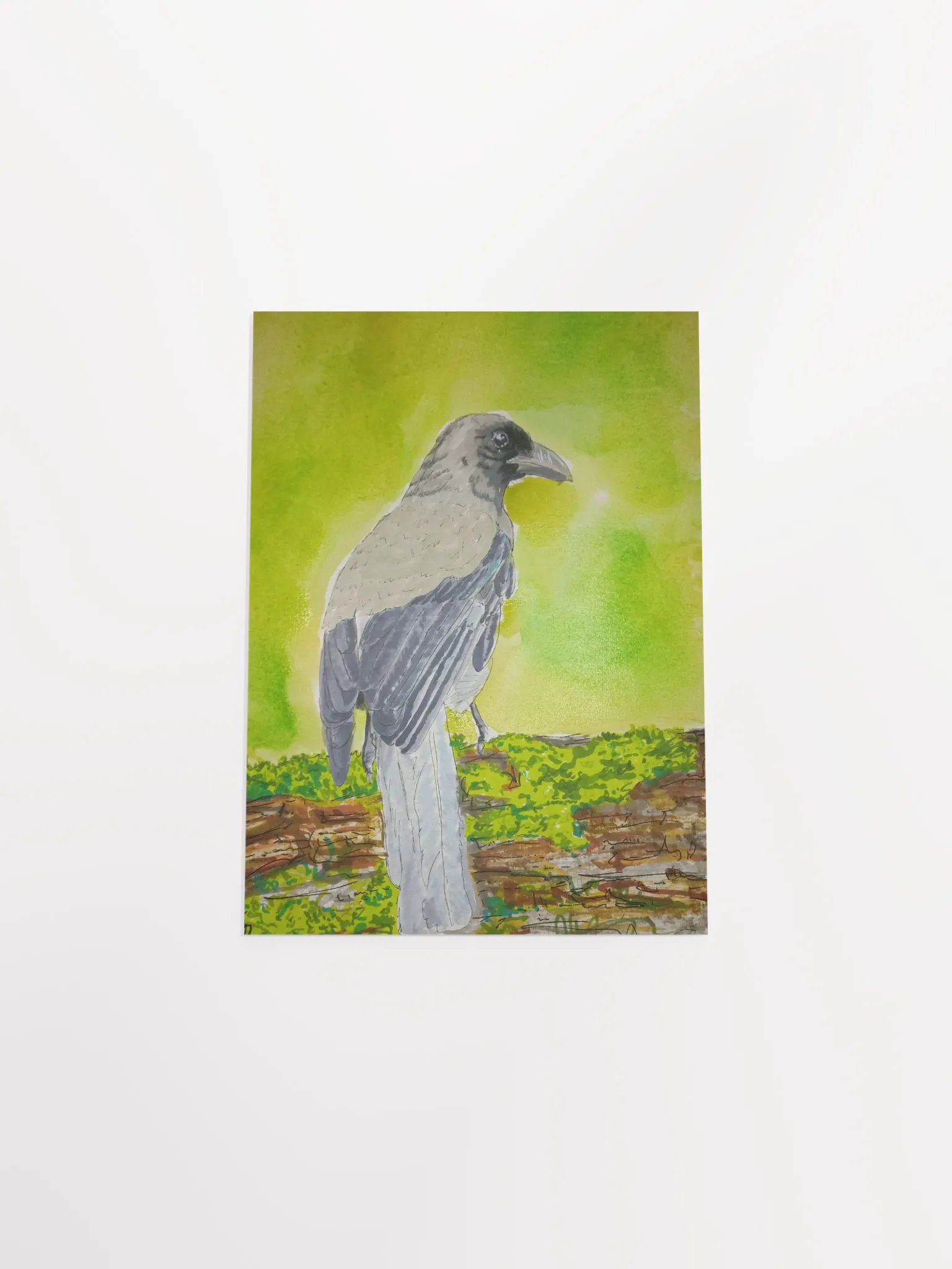 Corvid Series [05] Grey Treepie poster print product image (4)