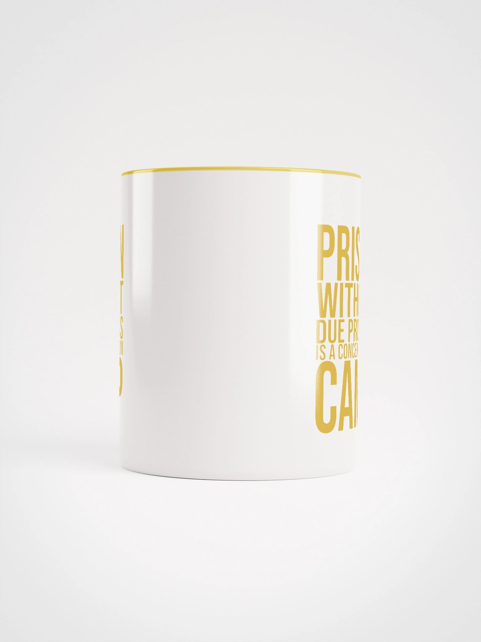 Due Process Concentration Camp Mug- Being Liberal product image (5)