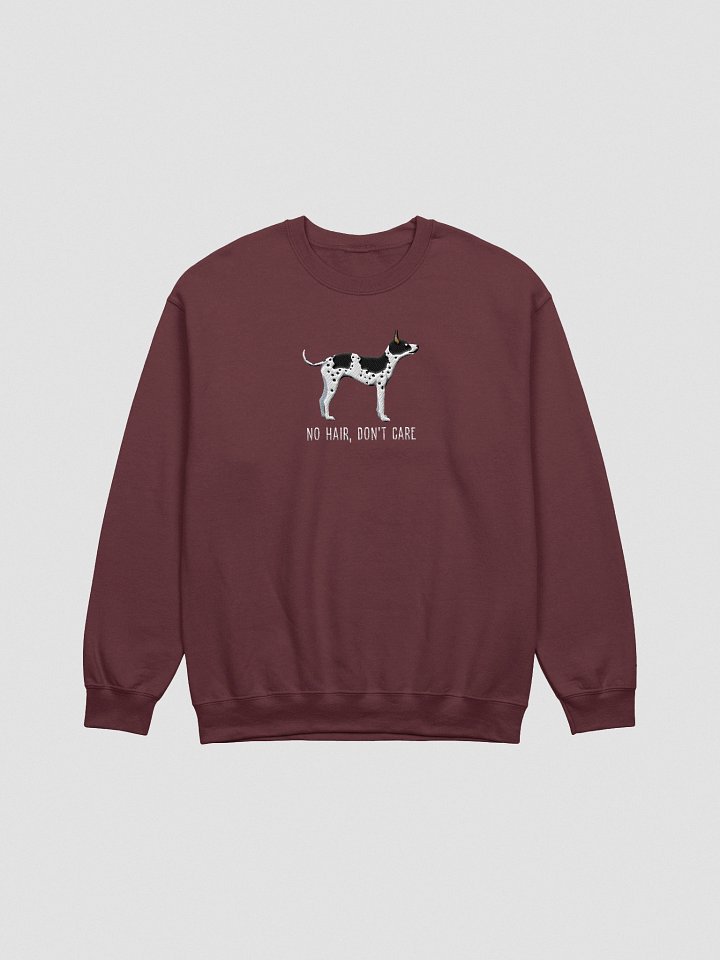 No Hair, Don't Care Sweatshirt (Embroidered) of an American Hairless Terrier(Black & White) product image (1)
