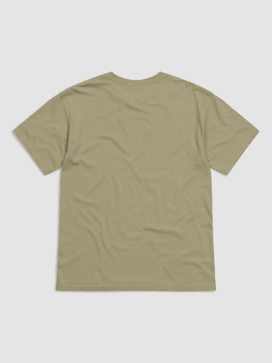 I Am the Evidence of an Empty Tomb – Resurrection T-Shirt product image (23)