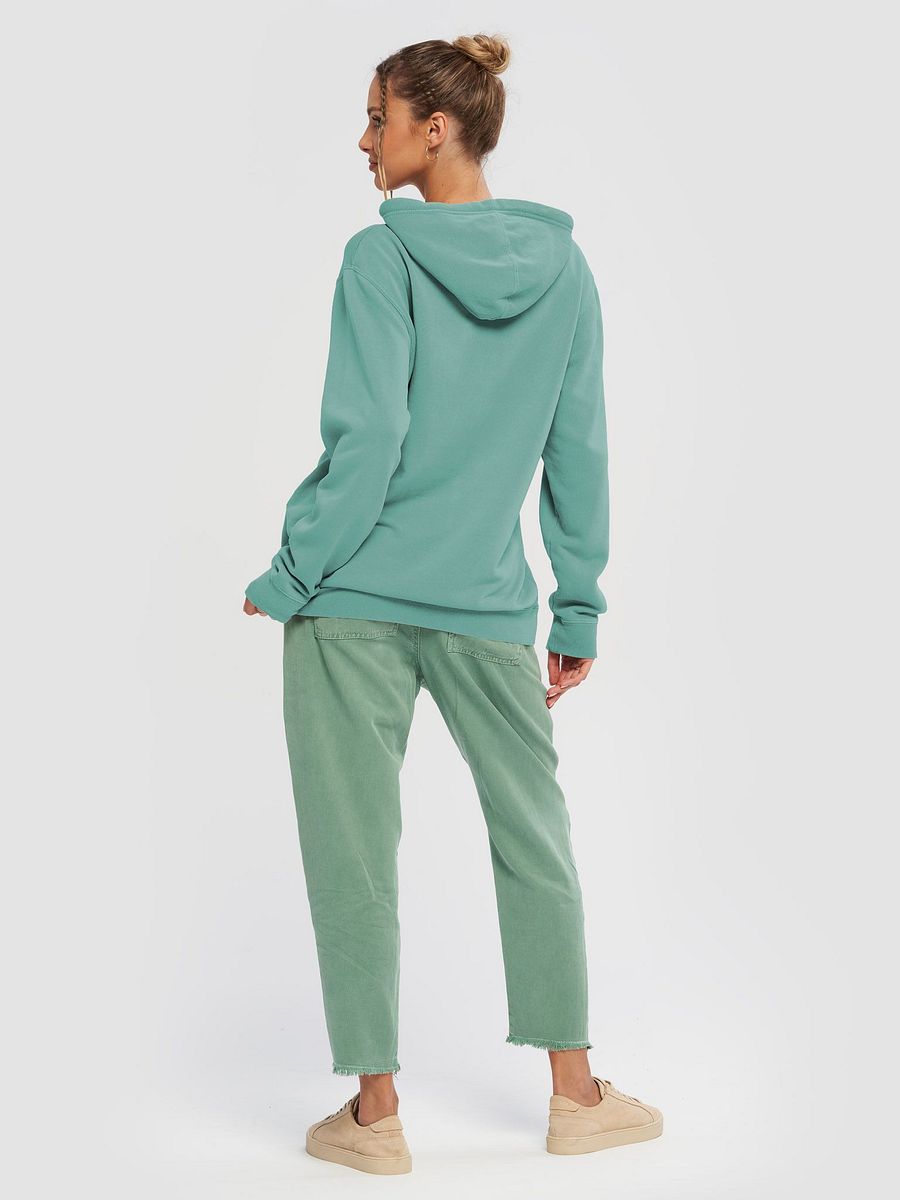 Super Premium Hoodie: Pisces Pooky Vintage Hoodie product image (4)