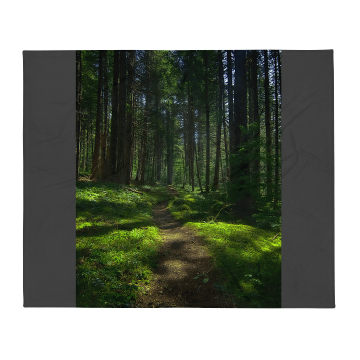 Lower Dungeness Trail Timber sun lighting Throw Blanket product image (1)