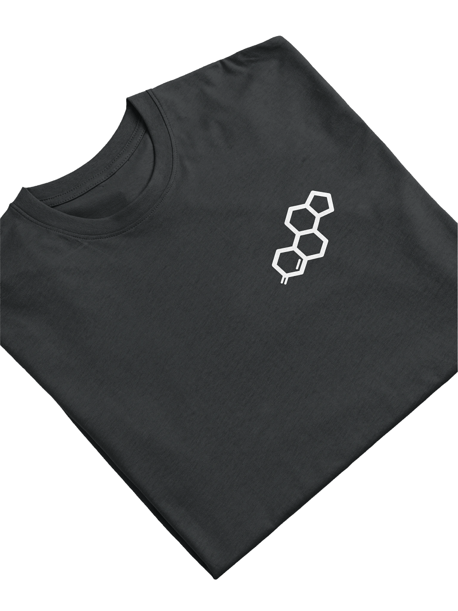 TAF PROTO-TYPE / TESTOSTERONE / T-SHIRT product image (3)