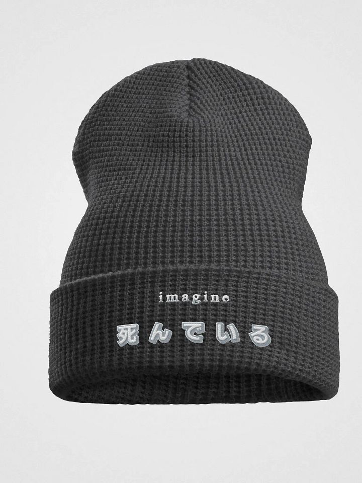Imagine Dying Beanie product image (1)