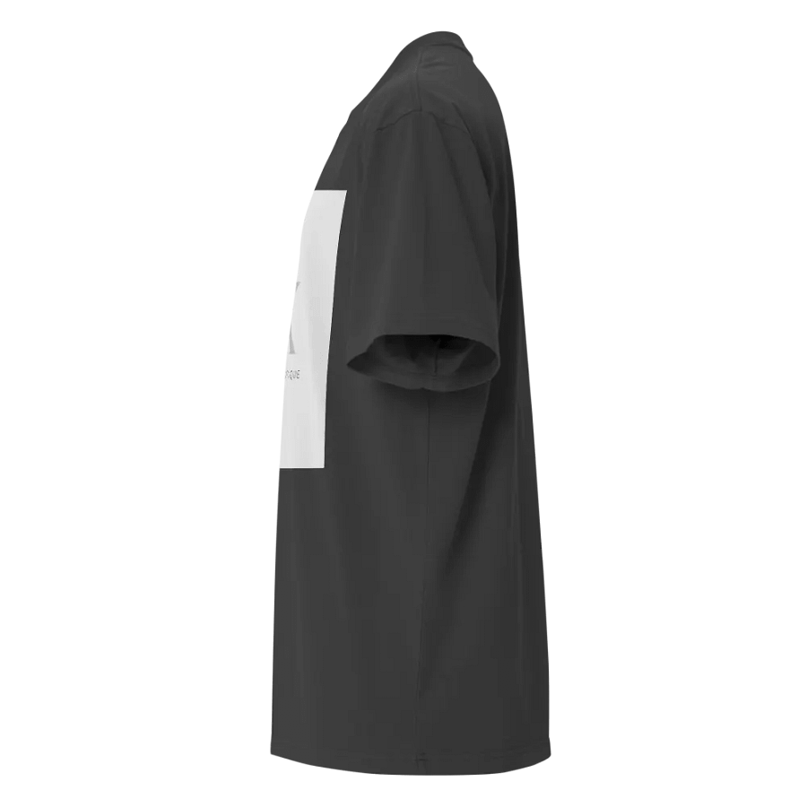 PK Brand Oversized Faded Tee product image (5)