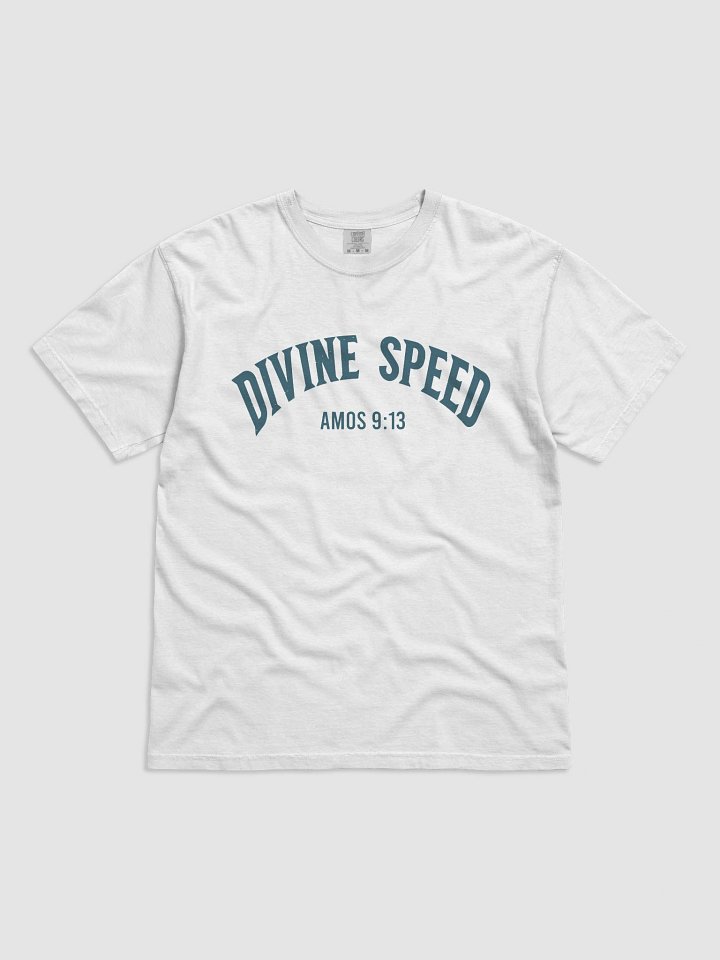 Divine Speed Retro Amos 9:13 Heavyweight Tee product image (2)
