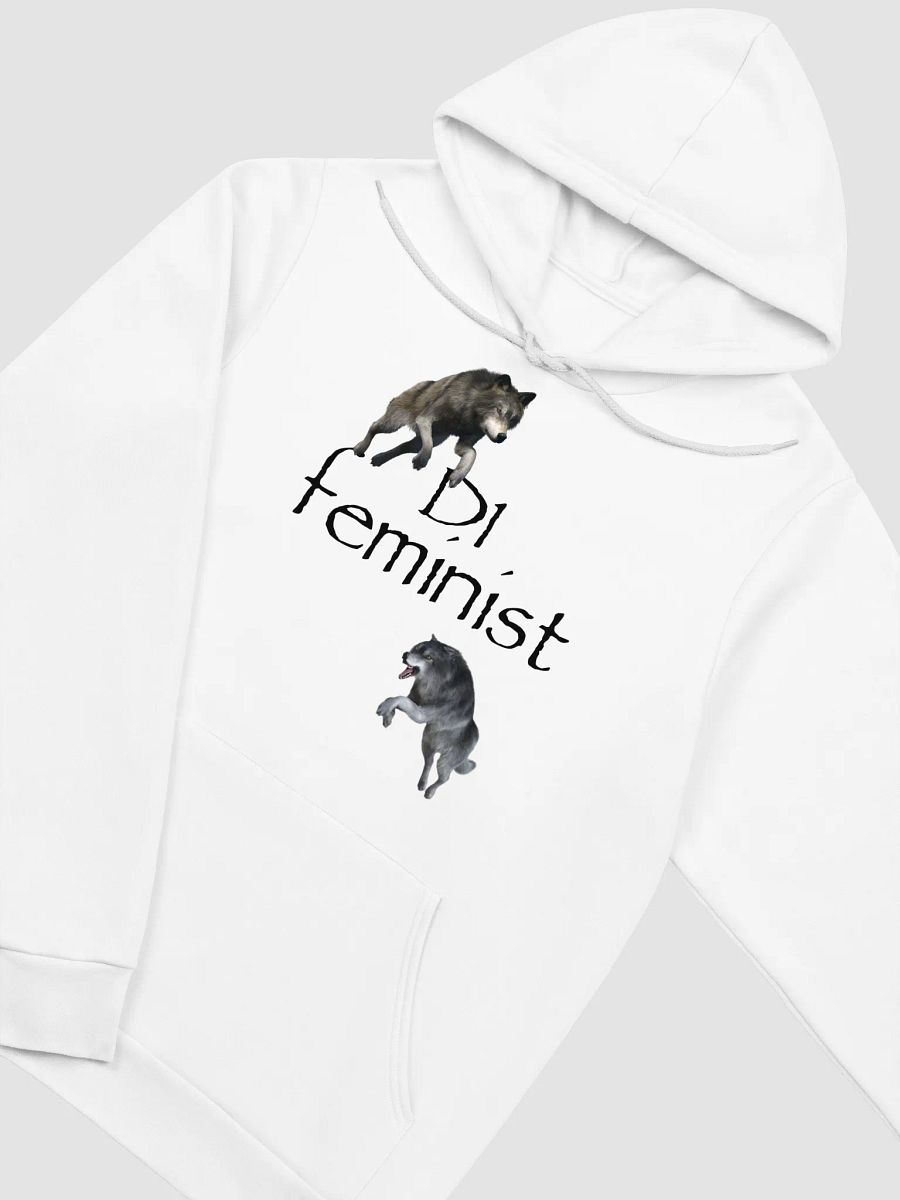 D1 Feminist Hoodie product image (3)