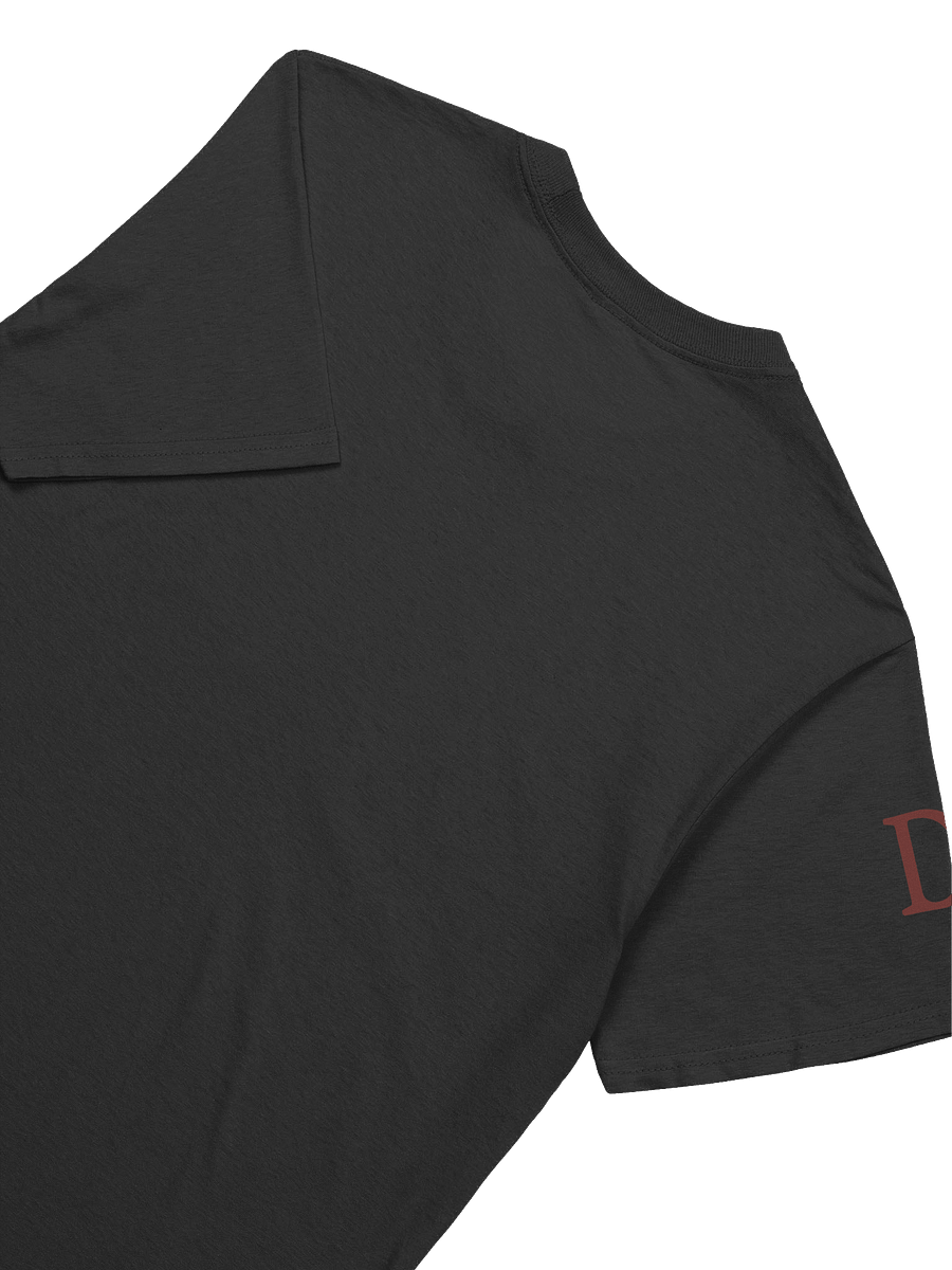 Desire Motivational Tee, Inspirational Desire Shirt, Passion & Fire T-Shirt, Bold Desire Apparel, Motivational Quote Tee, Live with Passion Shirt product image (26)