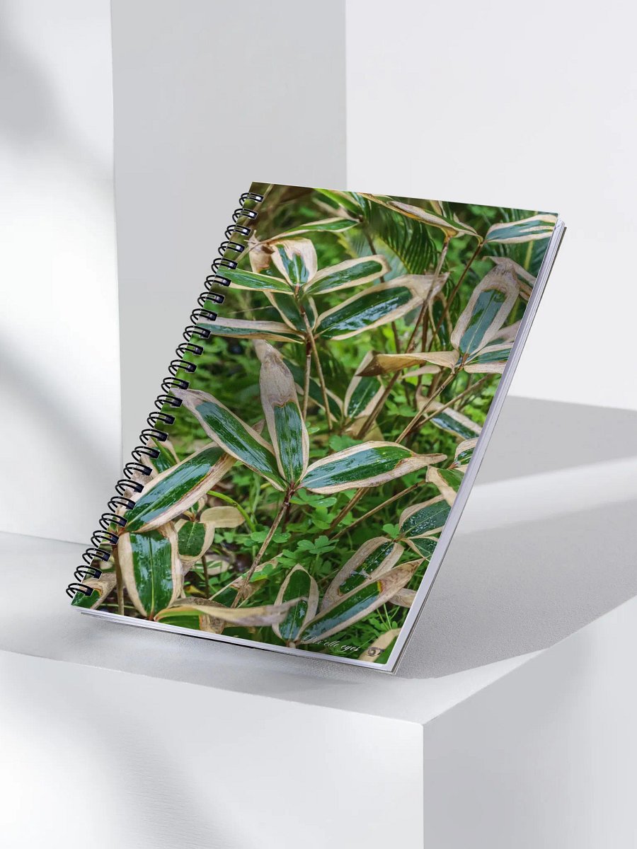 📘 Notebook Collection PURE – Jardin du Rayol – Bambou nain panaché product image (3)