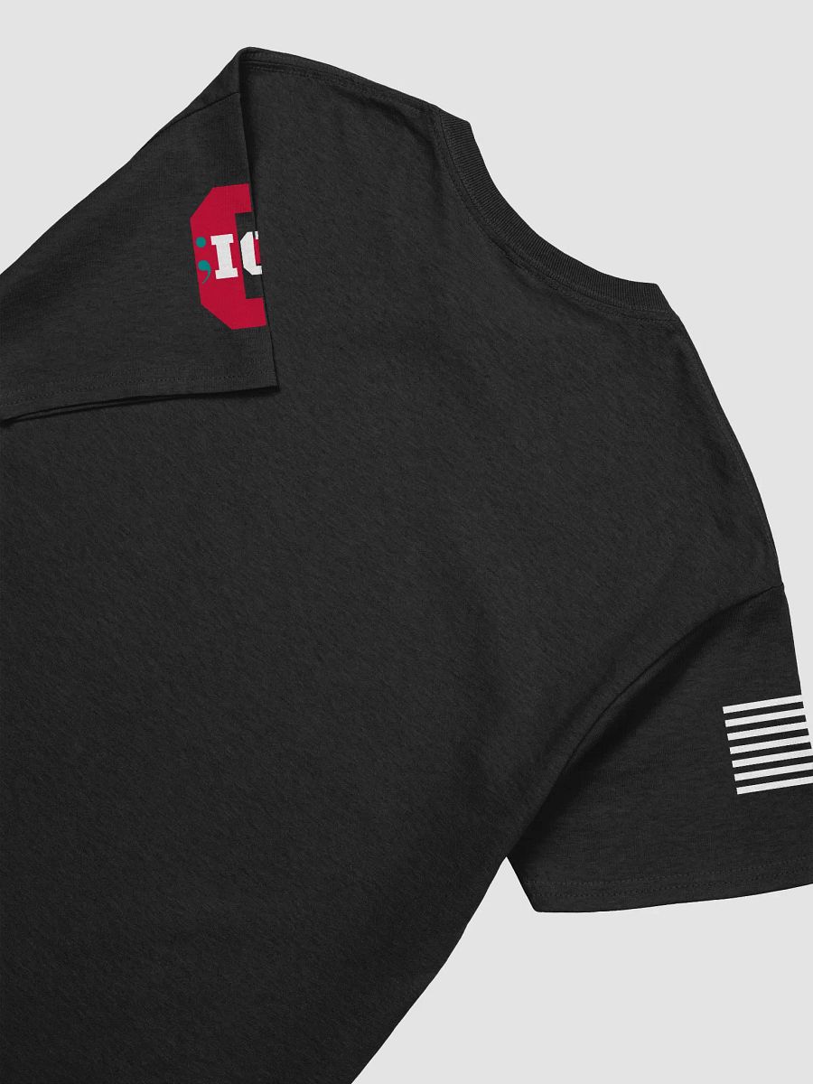Official Asylum Shirt product image (4)